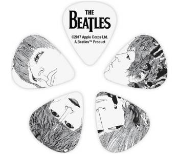 PLANET WAVES 1CWH6-10B1 - Набор медиаторов ~ Серия Planet waves beatles