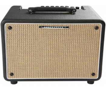 IBANEZ T30II TROUBADOUR - Комбоусилитель для акустической гитары
