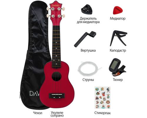 DAVINCI PINS-10BG PACK - Укулеле комплект