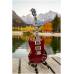 FLIGHT Pioneer Tenor CR - Электроукулеле тенор ~ Серия Flight rock