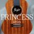 ПОСТУПЛЕНИЕ УКУЛЕЛЕ FLIGHT серии PRINCESS