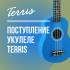 Новое поступление укулеле Terris